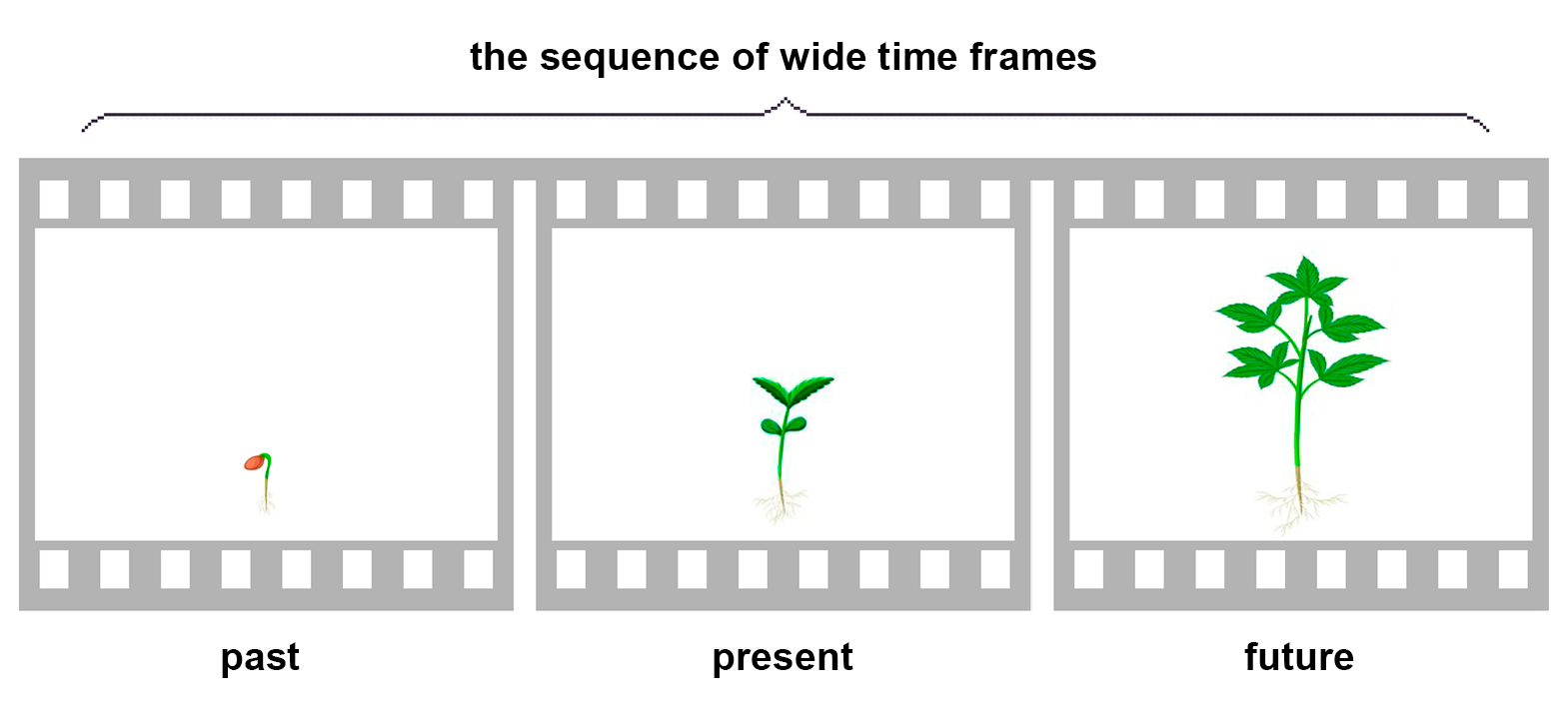 wide time frames